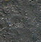 tmiedz-1250.jpg