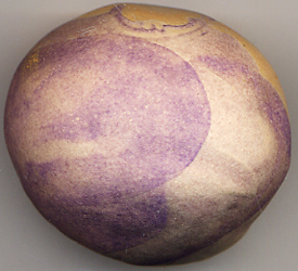 Sj-BaO-Nia.jpg