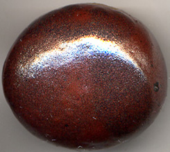 Tesha_Ham-cH.jpg