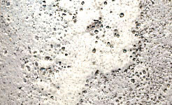 c103a1.jpg