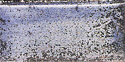c108a.jpg