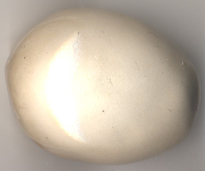 cone8-bK.jpg